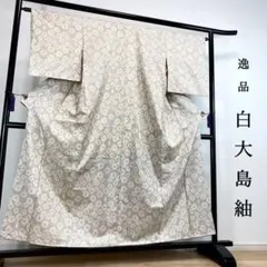 ☘️オークション☘️ 【白大島紬】○泥染○生糸○ 身丈 163裄丈 66.5