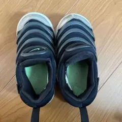 NIKE ダイナモフリー　15cm