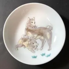 仁窯　角盛皿　盛り皿　小畑裕司　有田焼 仁窯角盛皿盛り皿小畑裕司有田焼