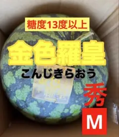 5013 匿名発送！千葉県産 金色羅皇スイカ 高糖度 9.123kg1玉 - メルカリ