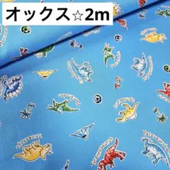 オックス生地⭐︎2m 恐竜柄⭐︎生地まとめ売り　はぎれ⭐︎男の子入園入学に⭐︎水色
