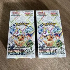 【新品未開封・シュリンク付き】テラスタルフェスEX 2個