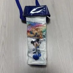 ディズニーシー 15周年限定 ポップコーンケース