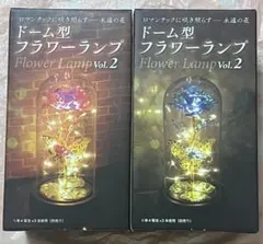 ⭐️新品⭐️ドーム型 フラワーランプ Flower Lamp vol.2 2個セット