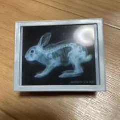 レントゲンライト X-RAY ミニチュア ガチャガチャ 医療系