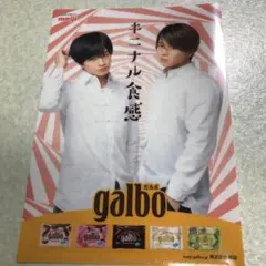 Sexy Zone 菊池風磨 中島健人 クリアファイル 新品未使用