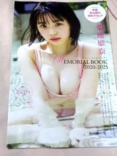 菊地姫奈 グラビア メモリアルブック 8P★プレイボーイ42・43号付録