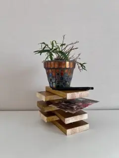 SpottedDisplayBox スポット ディスプレイボックス キューブ - メルカリ