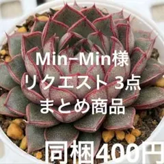 Min−Min様 リクエスト 3点 まとめ商品