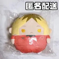 くじメイト ハイキュー ぬいくじ C賞 ふわコロりん M size 孤爪研磨