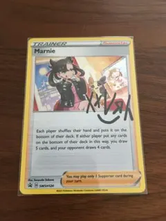 わんわんちゃん@ポケモンコレクション出品様 リクエスト 2点 まとめ商品