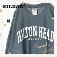 GILDANギルダンビッグアーチカレッジロゴスウェット90s古着グレーM