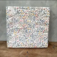 Item thumbnail for item 61fe3477-9267-47f0-800a-dea4d013aa59