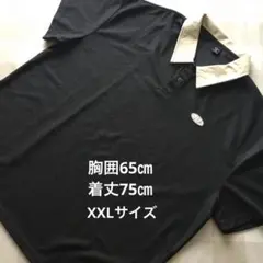 Item thumbnail for item cbecd1a7-cdf8-4698-945d-a338a346eb8f