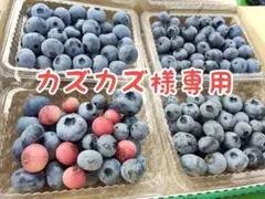 専用です　ブルーベリーのサムネイル