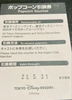 ポップコーン引換券 東京ディズニーリゾート