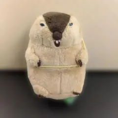 マーモット キャラクターグッズ