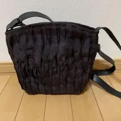 神蔵プリーツデザイン ショルダーバッグ