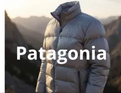 Patagonia ダウンジャケット Mサイズ ライトグレー流行のショート丈