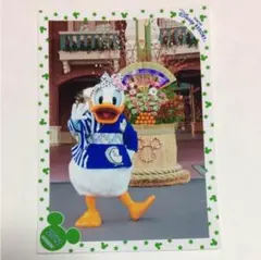 ディズニー スペシャルフォト(ドナルド)東京ディズニーランドお正月2012TDL