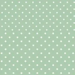 kiyurika様専用 ⭐︎