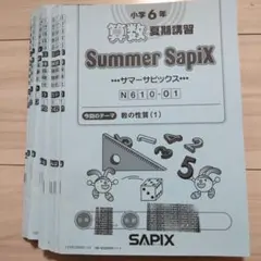 2024年度受験組6年生サピックステキスト　デイリー　スプリング　サマー欠番無し 2024年度受験組6年生サピックステキスト デイリー スプリング
