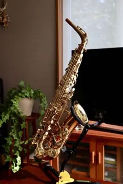 ヤナギサワ　プリマ　アルトサックス　900(彫刻あり) Dettagli dell'articolo 402 YANAGISAWA ヤナギサワ サックス JAPAN