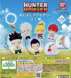 2026年最新】HUNTER×HUNTER フィギュア-ゴン-G.I.編の人気アイテム