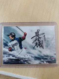 2026年最新】陽岱鋼 直筆の人気アイテム - メルカリ