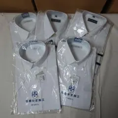 Item thumbnail for item 503582f3-a799-4b90-ae23-1983d2e3b018