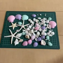 カラフルな貝殻セット　結婚式　ウェルカムスペース　装飾