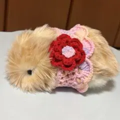 モフリン・ニットケープ①