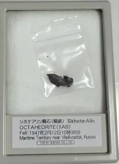 シホテアリン隕石 標本 1947年落下