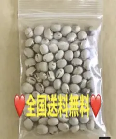 晴れの国岡山産ムクナ豆【八升豆】100g‼️