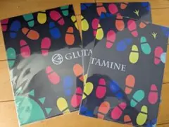 GLUTAMINE カラフルクリアファイル 3枚セット