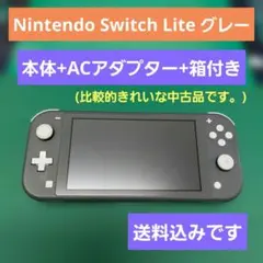 Nintendo Switch Lite グレー 本体・ACアダプター・箱付き