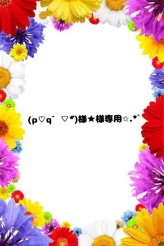 (p♡q´▽`*)様★様専用✩.*˚