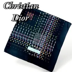 Christian Dior 花柄 大判 スカーフ レディース 8889