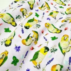 【手描き絵オリジナル生地】シロハラインコハーブ ペールパープル100×100