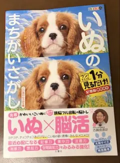 毎日脳活スペシャル いぬのまちがいさがし こいぬわんさかの巻