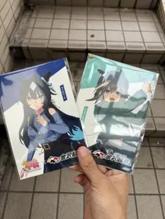 ウマ娘　シュヴァルグラン　ヴィルシーナ　ポストカード　金沢競馬
