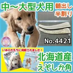 中～大型犬用 エゾ鹿の角 半割り２本セット 北海道産 犬のおもちゃ 44212のサムネイル