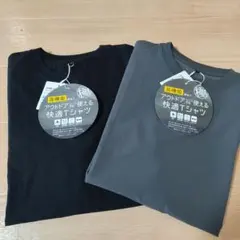 Item thumbnail for item 4f2515b3-36ba-44ef-b480-597456a93b87