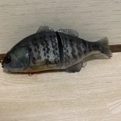 Item thumbnail for item e43e1e33-f6c9-477d-a628-c4fd3306cdf5