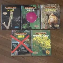 Item thumbnail for item 71691865-a84a-436e-b70d-717091854d3d