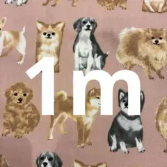 はにこ様 リクエスト 2点 まとめ商品