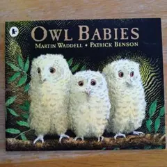 Owl Babies Martin Waddell 洋書 絵本
