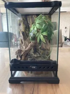 ジェックス グラステラリウムナノ PT2601 GEX EKO TERRA