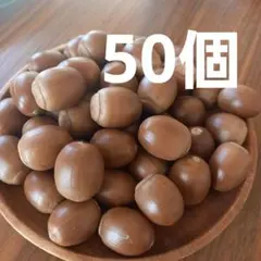 くぬぎどんぐり