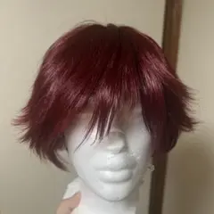 【1/31まで出品】にじさんじ ローレン・イロアス ウィッグ 即購入可